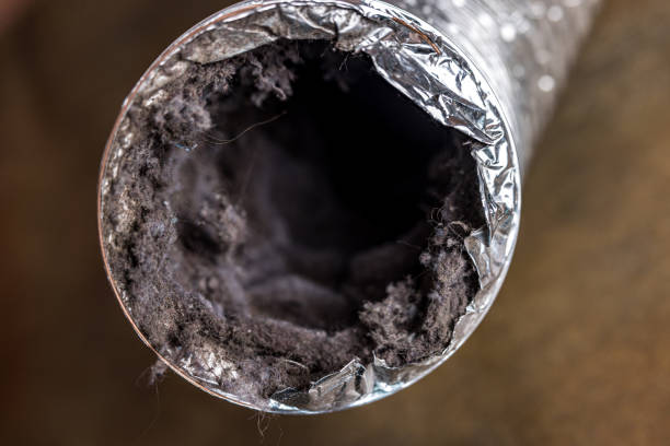 Best Ductwork Cleaning Services  in Zephyrhills West, FL