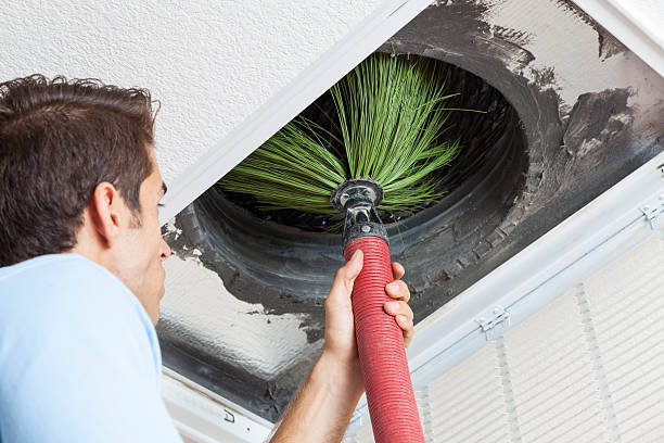 Best Best Air Duct Cleaning Company  in Zephyrhills West, FL