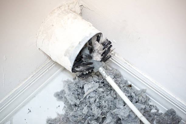 Best Affordable Duct Cleaning Services  in Zephyrhills West, FL